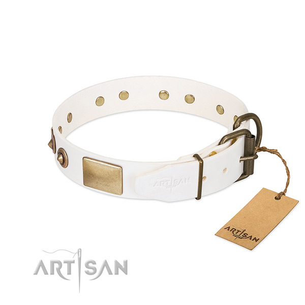 Corrosion proof decorations on full grain natural leather dog collar for your canine