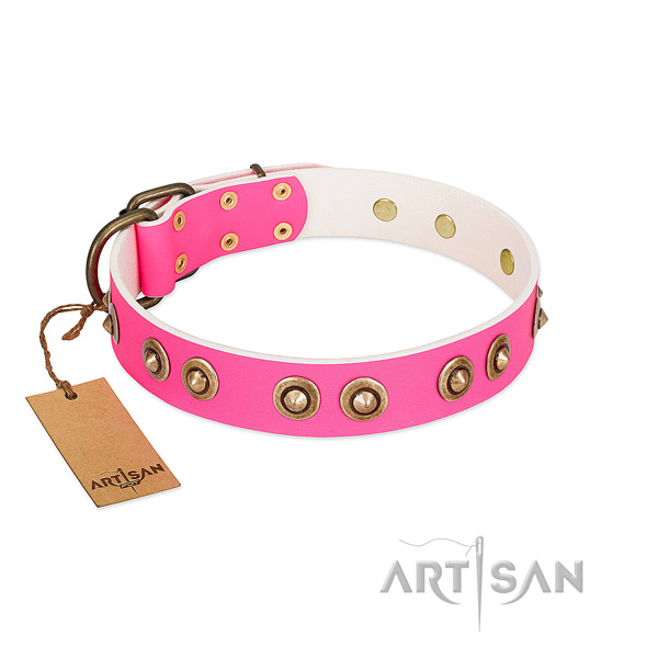 Impressive genuine leather dog collar for daily use