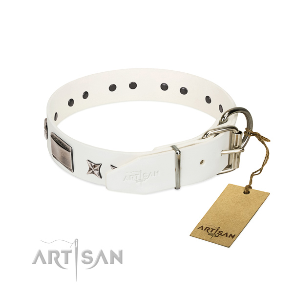Extraordinary collar of leather for your beautiful canine