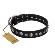 "Genteel Charm" FDT Artisan Black Leather English Bulldog Collar with Silver-like Round Conchos