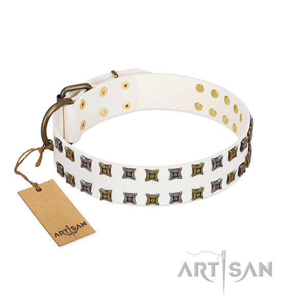 Durable full grain leather dog collar with studs for your four-legged friend