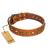 "Prez of the Pack" FDT Artisan Tan Leather English Bulldog Collar with Skulls and Brooches