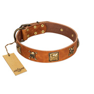 "Knights Templar" FDT Artisan Tan Leather English Bulldog Collar with Skulls and Crossbones Combined with Squares