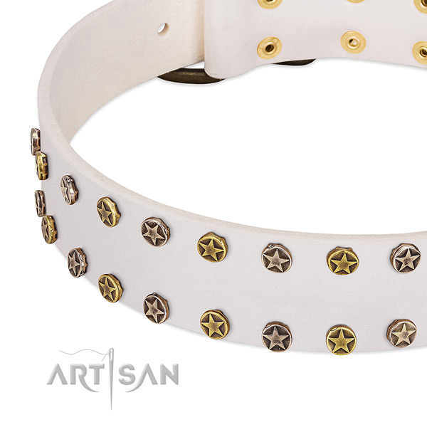 Incredible adornments on natural leather collar for your pet