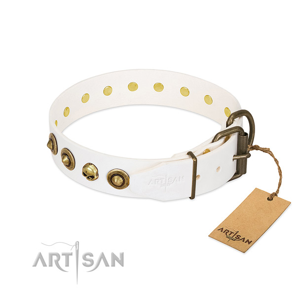 Genuine leather collar with unique studs for your canine