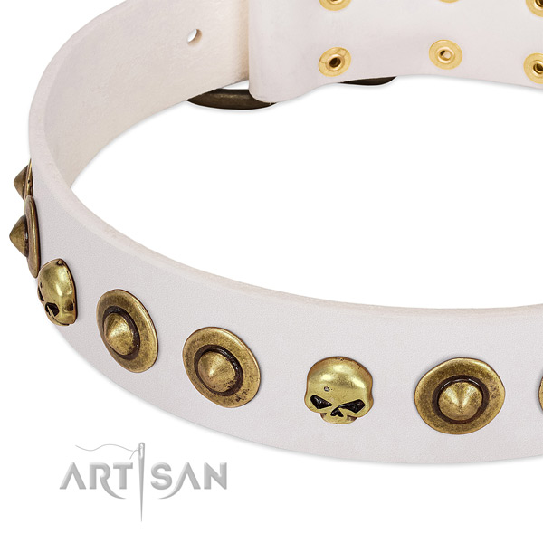 Exquisite embellishments on natural leather collar for your dog