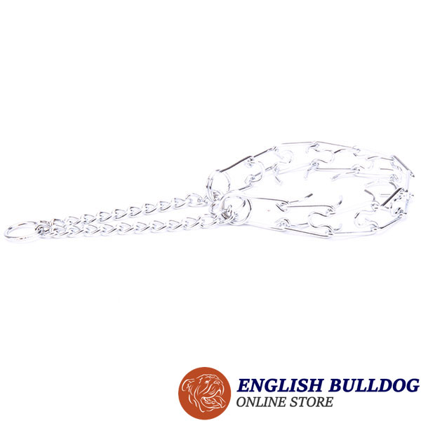 Chrome plated steel dog prong collar for badly behaved dogs