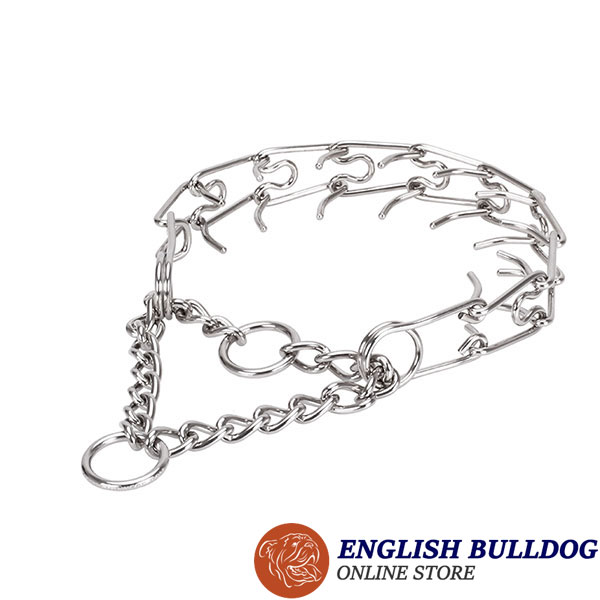 Pinch collar of rust resistant stainless steel for badly behaved dogs