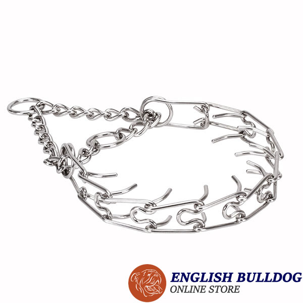 Prong collar of stainless steel for ill behaved pets