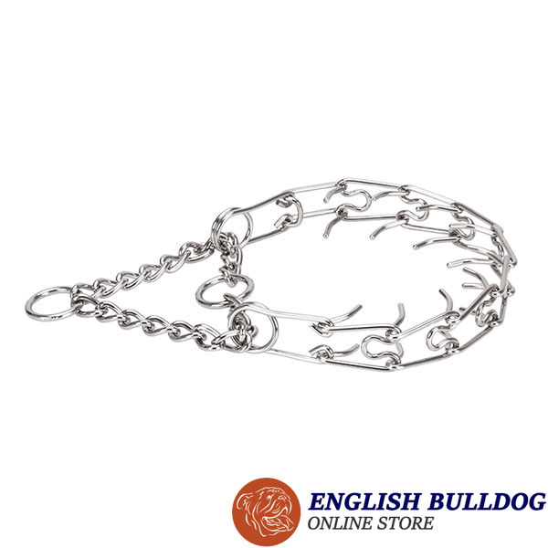 Rust proof stainless steel pinch collar for badly behaved pets