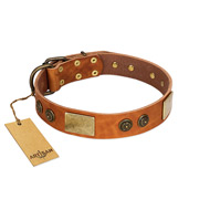 "Bronze Century" FDT Artisan Tan Leather English Bulldog Collar with Plates and Brooches with Cool Ornament