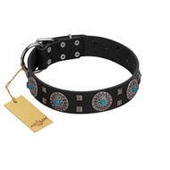 "Boundless Blue" FDT Artisan Black Leather English Bulldog Collar with Chrome Plated Brooches and Square Studs