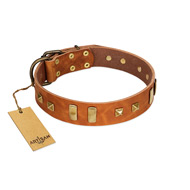 "Sand of Time" FDT Artisan Tan Leather English Bulldog Collar with Old Bronze-like Studs and Plates