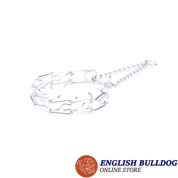 Premium-quality chrome plated prong collar for training