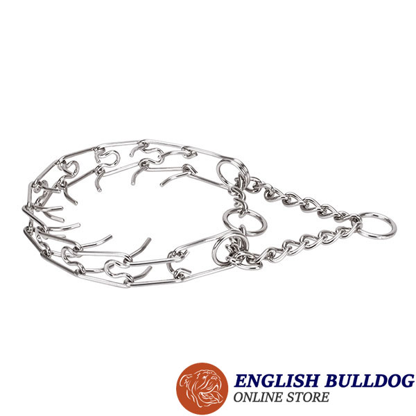 Medium dogs prong collar with stainless steel removable prongs
