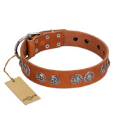 "Woofy Majesty" FDT Artisan Tan Leather English Bulldog Collar with Round Silver-like Plates