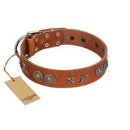 "Splendid Armor" Premium Quality FDT Artisan Tan Designer English Bulldog Collar with Shields and Stars