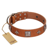 "Lucky Star" FDT Artisan Tan Leather English Bulldog Collar with Silver-Like Embellishments