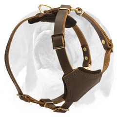 Durable English Bulldog puppy harness
