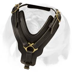 English Bulldog super durable leather dog harness