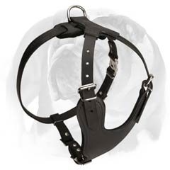 English Bulldog reliable leather dog harness