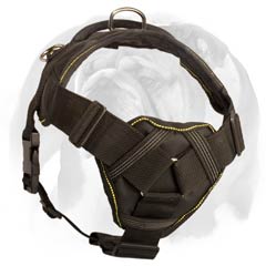 English Bulldog nylon dog harness