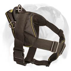 English Bulldog all weather harness