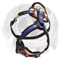 English Bulldog harness with inside padding