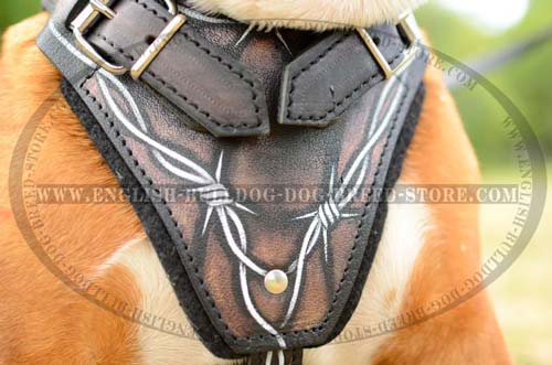 English Bulldog pure leather harness