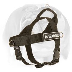 English Bulldog harness with removable id patch