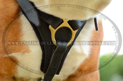 English Bulldog durable leather harness