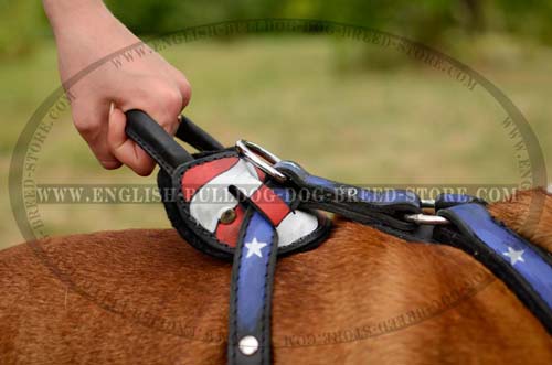 English Bulldog Harness with felt padding inside