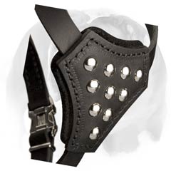 Decorated with half-ball studs leather Bulldog harness for puppies