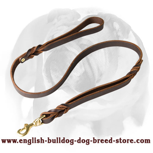 English Bulldog Braided Leather Dog Leash with 2 Handles