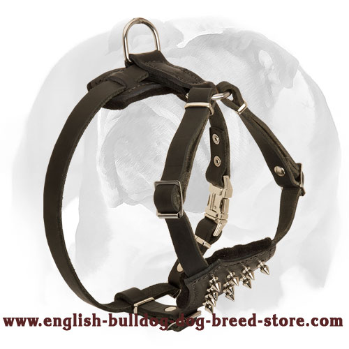 English Bulldog Leather Dog Harness for Puppies with Spiked Chest