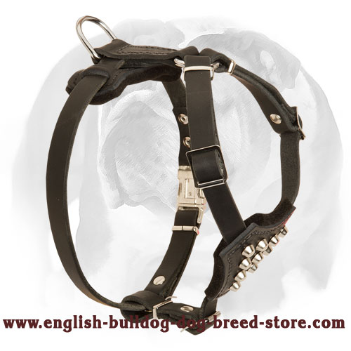 English Bulldog Genuine Leather Dog Harness with Cones for Puppies