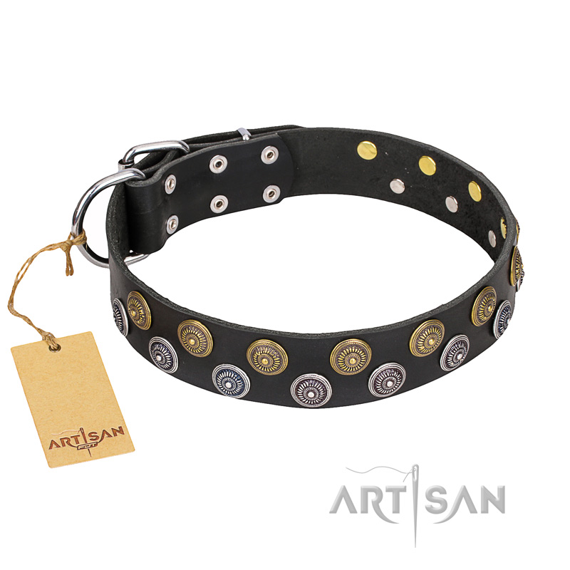 "Romantic Breeze" FDT Artisan Daily Walking Black Leather English Bulldog Collar