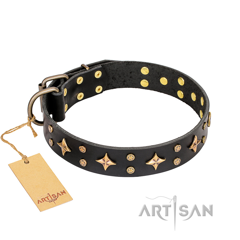 'A La Mode' FDT Artisan Handmade Black Leather English Bulldog Collar