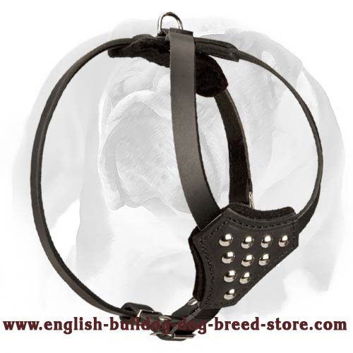 English Bulldog Durable Leather Dog Harness for Puppies