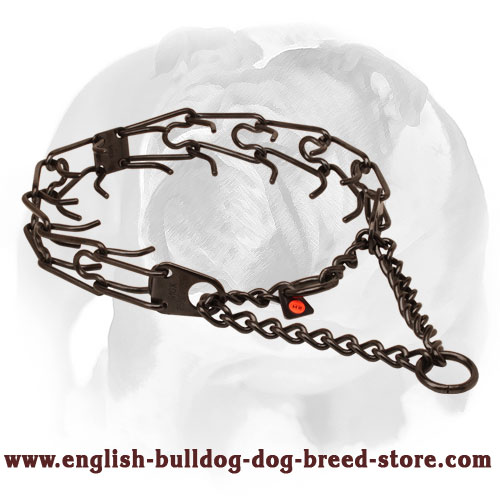 English Bulldog Trendy Black Steel Dog Handler - Herm Sprenger Dog Pinch Prong Collar of Stainless Steel