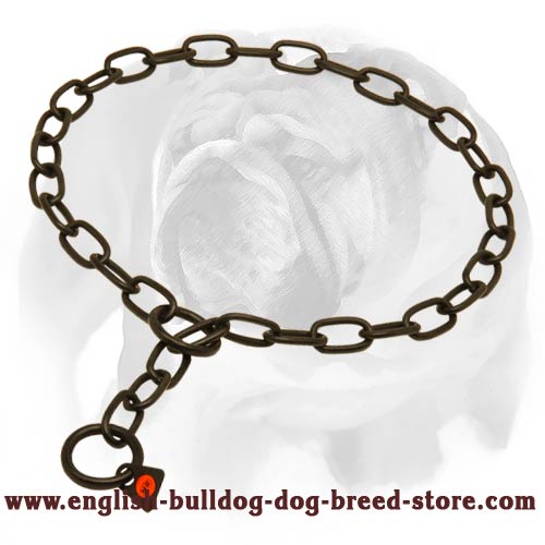 English Bulldog Amazing Black Stainless Steel Dog Chain Collar