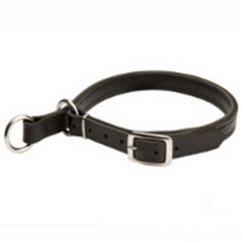 English Bulldog High-Quality Leather Choke Dog Collar