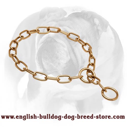 English Bulldog Choke Chain Dog Collar Perfect for Training and Walking