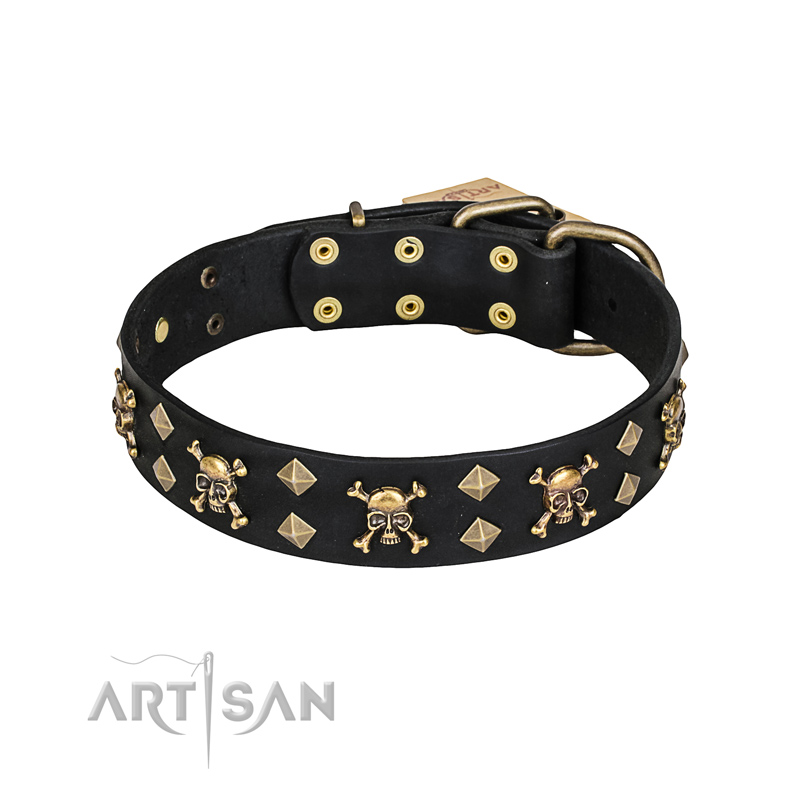 'Jolly Rojer' FDT Artisan Leather English Bulldog Collar with Pirate Skulls and Studs - 1 1/2 inch (40 mm) wide