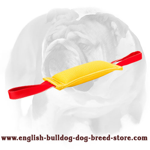 English Bulldog Durable French Linen Puppy Bite Tug for Training