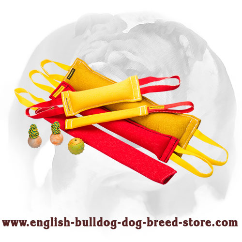 Ultimate Training Set of Bite Tugs for English Bulldog