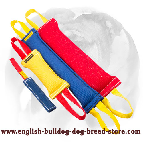 French Linen Training Set for English Bulldog with Bonus