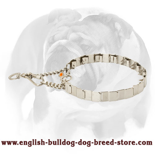 English Bulldog Dog Pinch Prong Collar Made of High-Quality Stainless Steel