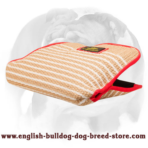 English Bulldog Jute Bite Builder Sleeve for Young Dogs