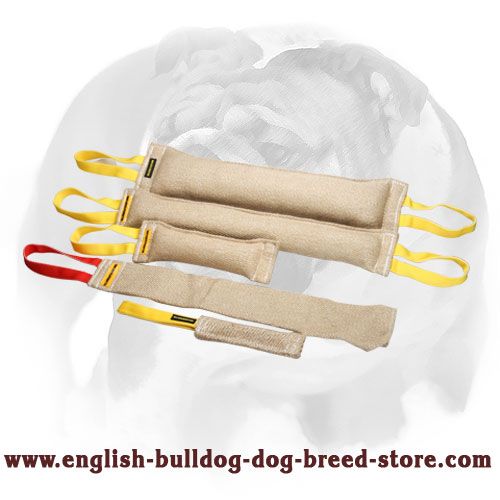English Bulldog Professional Bite Training Set (Jute Tugs)
